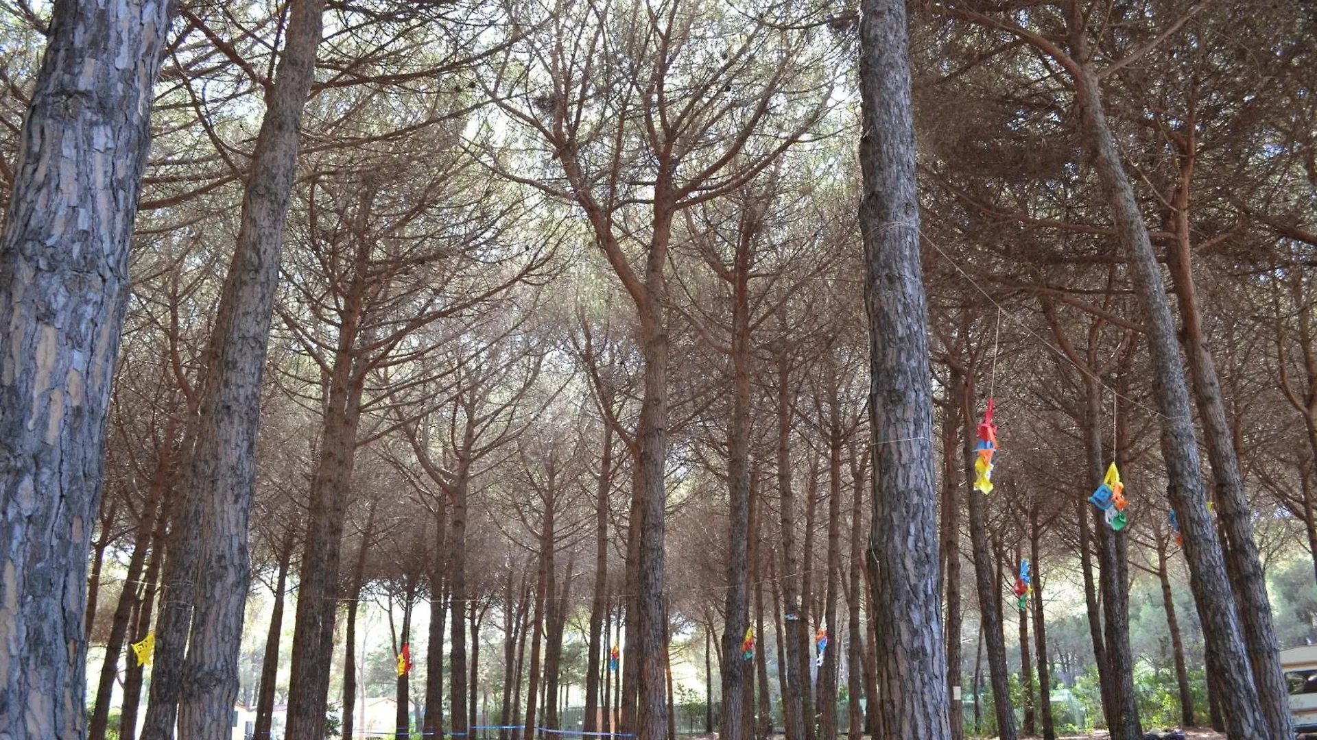Giannella Camping Orbetello 0*,  Italy